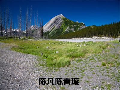 【热门】《记忆审判：那一刻，全国为他痛哭》书名是陈凡陈青璇全文免费阅读已完结