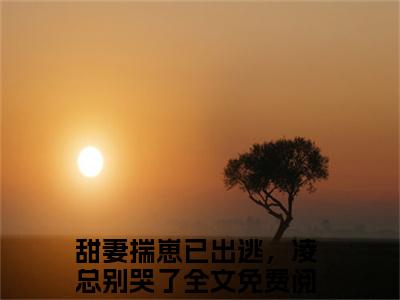甜妻揣崽已出逃，凌总别哭了(柳禾凌司呈)全文免费阅读无弹窗大结局_(甜妻揣崽已出逃，凌总别哭了免费阅读)柳禾凌司呈无弹窗最新章节列表_笔趣阁（柳禾凌司呈）