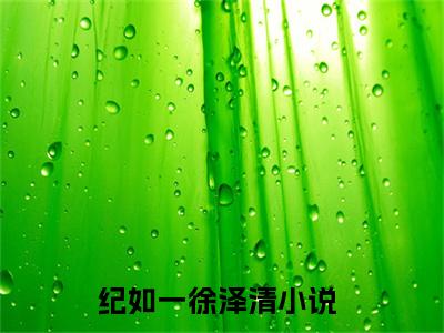 纪如一徐泽清精选热门小说-纪如一徐泽清免费全文阅读