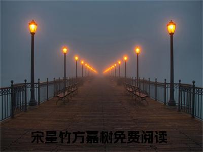 宋星竹方嘉树(宋星竹方嘉树)小说免费阅读-宋星竹方嘉树（宋星竹方嘉树）全文阅读-笔趣阁（宋星竹方嘉树）