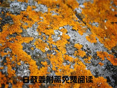 白蔹姜附离新上热文小说（白蔹姜附离）讲的是什么-白蔹姜附离全文完整版免费阅读