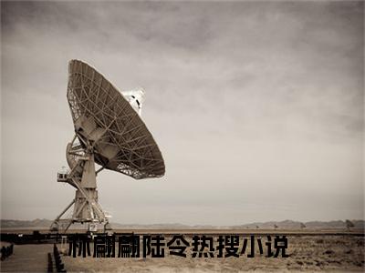 林翩翩陆令全文免费阅读无弹窗-林翩翩陆令最新章节列表在线阅读