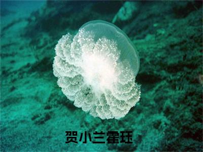 贺小兰霍珏（贺小兰霍珏）小说全文免费阅读无弹窗_（贺小兰霍珏）贺小兰霍珏小说全文免费阅读最新章节列表笔趣阁（贺小兰霍珏）