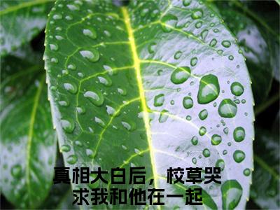 真相大白后，校草哭求我和他在一起（顾昭周瑾梁泽最新章节）在线阅读-免费小说真相大白后，校草哭求我和他在一起全文阅读