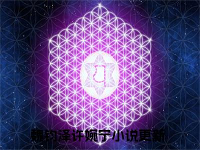 魏钧泽许婉宁全文免费阅读无弹窗大结局_(魏钧泽许婉宁免费阅读)魏钧泽许婉宁最新章节列表_笔趣阁
