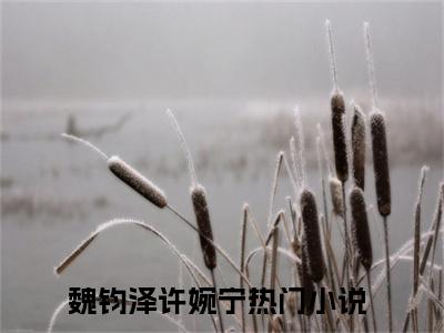 魏钧泽许婉宁精彩章节免费阅读_魏钧泽许婉宁抖音热推小说最新章节阅读