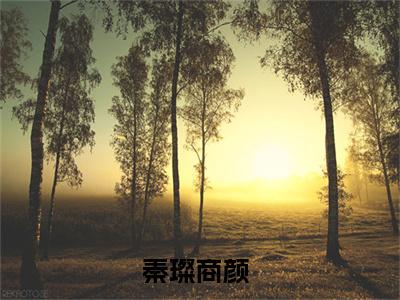 秦璨商颜（秦璨商颜）全文免费阅读无弹窗大结局_(秦璨商颜免费阅读)秦璨商颜最新章节列表_笔趣阁（秦璨商颜）