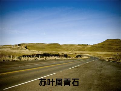 苏叶周青石（苏叶周青石）全文免费阅读无弹窗大结局_苏叶周青石最新章节列表（苏叶周青石）