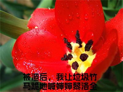 被渣后，我让垃圾竹马跪地喊婶婶黎洛的书名全文免费最后一章在线阅读 被渣后，我让垃圾竹马跪地喊婶婶黎洛全文小说完整版