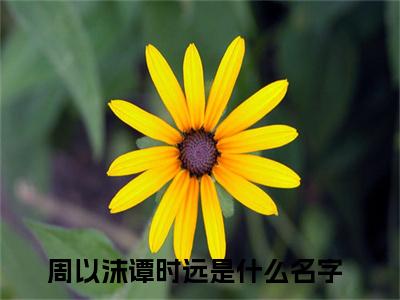 周以沫谭时远完整版最新小说大结局-周以沫谭时远最新章节免费阅读