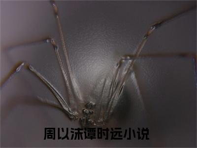周以沫谭时远全文最新章节正版小说免费阅读
