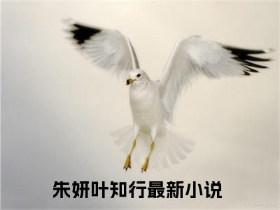 朱妍叶知行的书名 朱妍叶知行免费章节阅读
