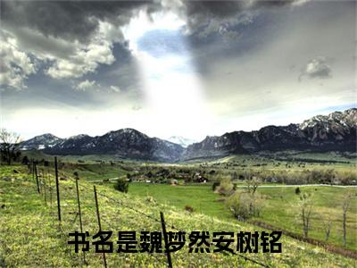魏梦然安树铭全文免费阅读无弹窗大结局_（魏梦然安树铭）全文在线阅读大结局