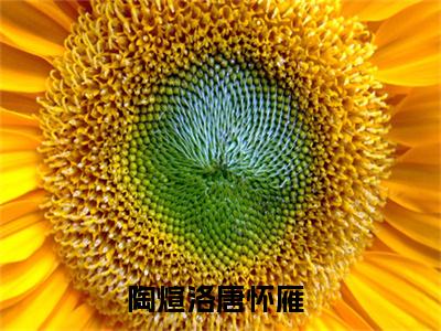 陶煊洛唐怀雁免费（陶煊洛唐怀雁）全文免费阅读无弹窗大结局_陶煊洛唐怀雁免费最新章节列表_笔趣阁