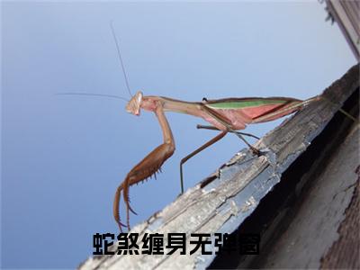 蛇煞缠身是什么小说，蛇煞缠身（玄墨
荆宁）完整章节在线阅读