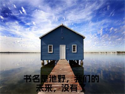 池野，我们的未来，没有了是什么小说-盛茵池野免费小说在线阅读