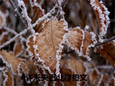 许未央迟北穆（许未央迟北穆）全文免费阅读无弹窗_许未央迟北穆最新小说_笔趣阁（许未央迟北穆）