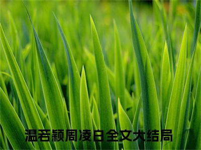 温若颖周凌白小说全文(温若颖周凌白)全文免费阅读无弹窗大结局_ 温若颖周凌白全文免费阅读最新章节列表