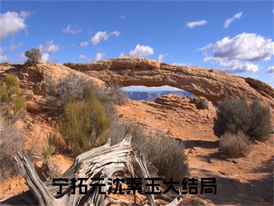 宁拓元沈素玉小说（宁拓元沈素玉）最新章节阅读-宁拓元沈素玉免费阅读无弹窗大结局