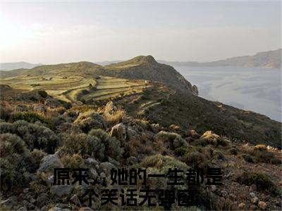 许洛枝梁景煜是哪部小说的主角，原来，她的一生都是个笑话全文在线赏析