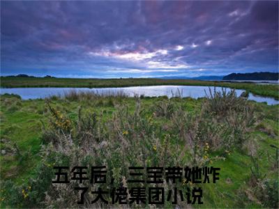 热文五年后，三宝带她炸了大佬集团小说全文阅读_顾寒煜江果果（五年后，三宝带她炸了大佬集团）全文免费阅读最新章节列表