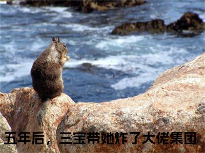 顾寒煜江果果（五年后，三宝带她炸了大佬集团小说）全文免费阅读无弹窗大结局_(五年后，三宝带她炸了大佬集团小说)顾寒煜江果果最新章节列表_笔趣阁（五年后，三宝带她炸了大佬集团）