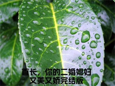 鹿向星厉战军（首长，你的二婚媳妇又美又娇）小说全文免费阅读正版无弹窗_(首长，你的二婚媳妇又美又娇)免费阅读无弹窗最新章节列表_笔趣阁