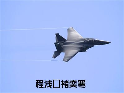 程浅婼褚奕寒最新热点小说-程浅婼褚奕寒免费观看完结版