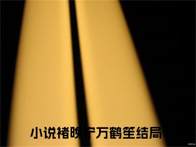 褚晚宁万鹤笙小说全文免费阅读-褚晚宁万鹤笙小说最新章节列表（褚晚宁万鹤笙）