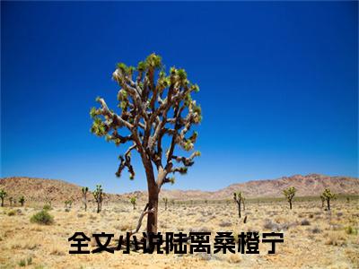 陆离桑橙宁（陆离桑橙宁）全文免费阅读无弹窗大结局_陆离桑橙宁最新章节列表_笔趣阁（陆离桑橙宁）