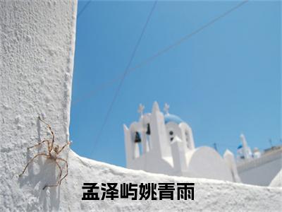 孟泽屿姚青雨好书孟泽屿姚青雨免费赏析-《孟泽屿姚青雨》小说分享全集
