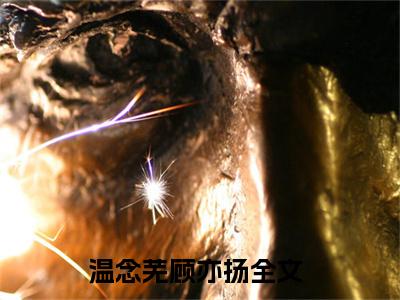 温念芜顾亦扬(温念芜顾亦扬)全文免费阅读无弹窗大结局_(温念芜顾亦扬)温念芜顾亦扬无弹窗最新章节列表_笔趣阁(温念芜顾亦扬)
