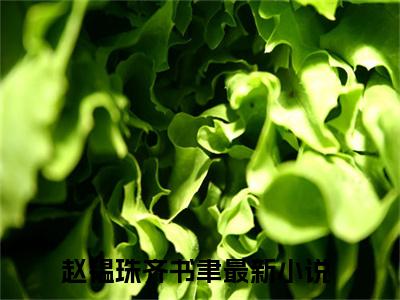 赵韫珠齐书聿（赵韫珠齐书聿小说)全文免费阅读无弹窗大结局_赵韫珠齐书聿全文免费阅读_笔趣阁