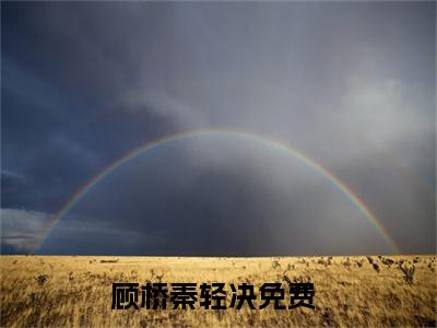 顾桥秦轻决（顾桥秦轻决）全网首发小说-顾桥秦轻决知乎小说
