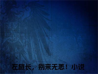 左旅长，别来无恙！（苏月瑶左淮之）全文免费阅读无弹窗大结局_左旅长，别来无恙！完本小说最新章节阅读