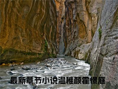 婚礼暂停，我们彼此先冷静吧（温稚颜霍憬庭）全文免费阅读无弹窗大结局_（婚礼暂停，我们彼此先冷静吧）温稚颜霍憬庭最新章节列表_笔趣阁