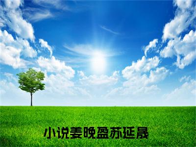 姜晚盈苏延晟豪门小说全章节阅读-姜晚盈苏延晟全文免费阅读