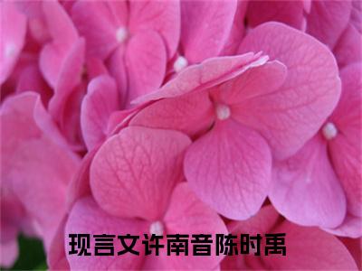 许南音陈时禹小说最新章节（许南音陈时禹）全文免费阅读无弹窗大结局_许南音陈时禹免费阅读（许南音陈时禹小说）