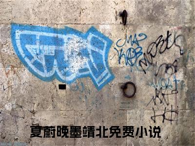 夏蔚晚墨靖北全文免费完整版,夏蔚晚墨靖北最新章节完整版阅读