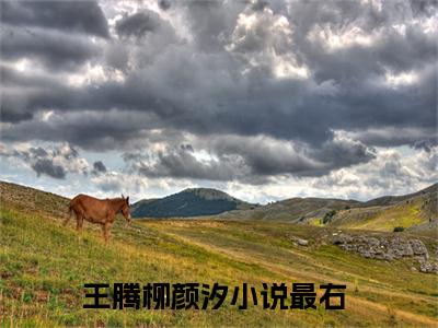 王腾柳颜汐(王腾柳颜汐)抖音热推小说全集无删减_(王腾柳颜汐免费阅读全文大结局)最新章节列表_笔趣阁