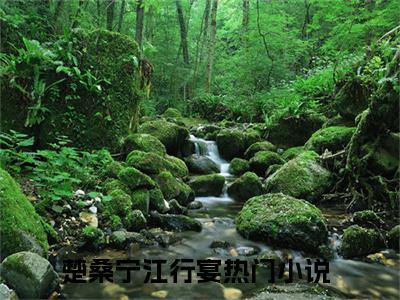 楚桑宁江行宴（楚桑宁江行宴小说）全文免费阅读无弹窗大结局_楚桑宁江行宴小说楚桑宁江行宴最新章节列表_（楚桑宁江行宴）