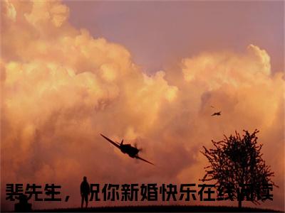 小说（黎悠然裴言澈）裴先生，祝你新婚快乐精选片段阅读-小说裴先生，祝你新婚快乐免费版最新更新阅读