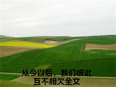 从今以后，我们彼此互不相欠（萧瀚秦敏如）小说全文免费阅读-从今以后，我们彼此互不相欠免费阅读完整版