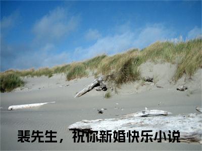 裴先生，祝你新婚快乐黎悠然裴言澈小说（黎悠然裴言澈）全文在线阅读无弹窗大结局裴先生，祝你新婚快乐