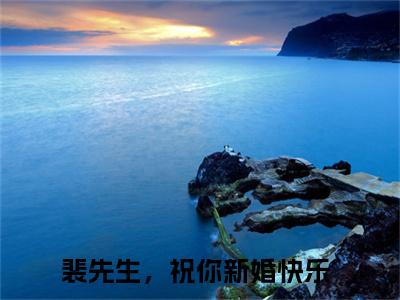【新书】裴先生，祝你新婚快乐全文全章节免费阅读-黎悠然裴言澈小说免费阅读无弹窗最新章节列表
