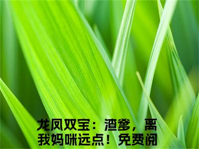 龙凤双宝：渣爹，离我妈咪远点！正版小说全文阅读 沈安溪陈煜白无删减版