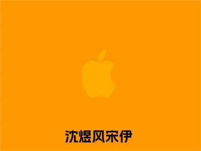 沈煜风宋伊（沈煜风宋伊）完整版小说阅读_沈煜风宋伊全文免费阅读最新章节列表_笔趣阁
