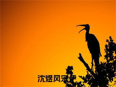 人气小说沈煜风宋伊在线阅读-正版小说《沈煜风宋伊》沈煜风宋伊全文阅读
