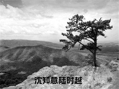 沈知意陆时越小说最新试读_沈知意陆时越是(沈知意陆时越全文完整版免费阅读)_笔趣阁