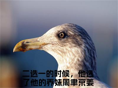 周聿京姜乐颜全文免费阅读_（二选一的时候，他选了他的养妹免费阅读无弹窗）周聿京姜乐颜最新章节列表笔趣阁